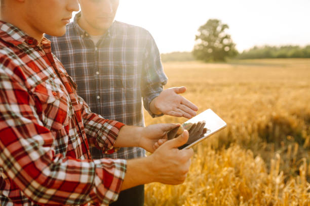 istock Two Farmers working with Tablet on wheat field. 2156684956