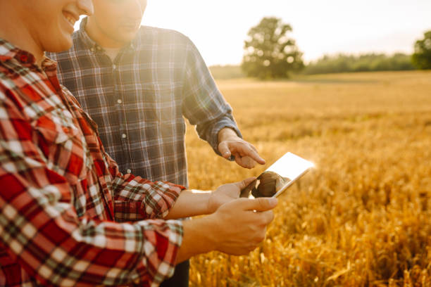 istock Two Farmers working with Tablet on wheat field. 2156684962