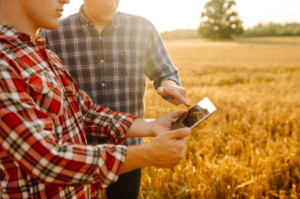istock Two Farmers working with Tablet on wheat field. 2156684964