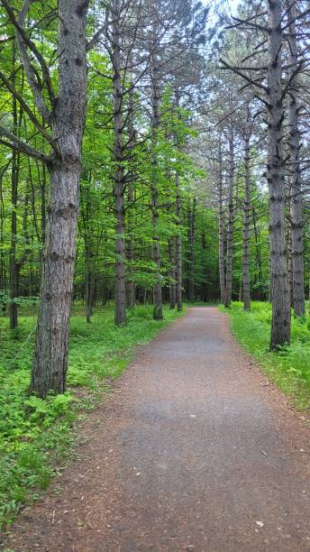 istock Bike trail 2156689259