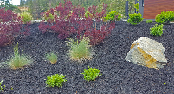 istock Water Conservation Featured In A Simple Well Designed Xeriscaped Garden 2156689384