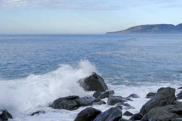 Scene from the Coast at Kaikoura. It  is a coastal town on the South Island of New Zealand. It’s known for its abundant wildlife and its sperm whale population. The Kaikoura Peninsula Walkway winds from the town centre to lookout points at Point Kean. Close by, the rock platforms are home to a colony of New Zealand fur seals.