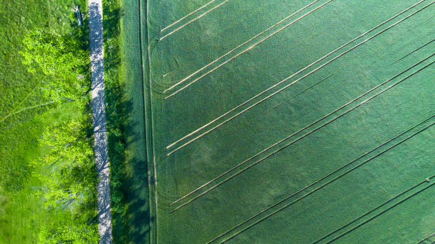 istock Aerial View of a Road Through Green Fields 2156698222