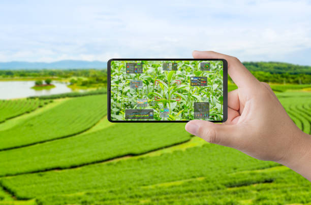 istock Agriculture technology with smart farm connect to mobile phone 2156702042