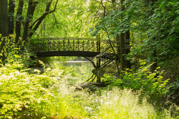 istock beautiful iron bridge in summer green park 2156702644