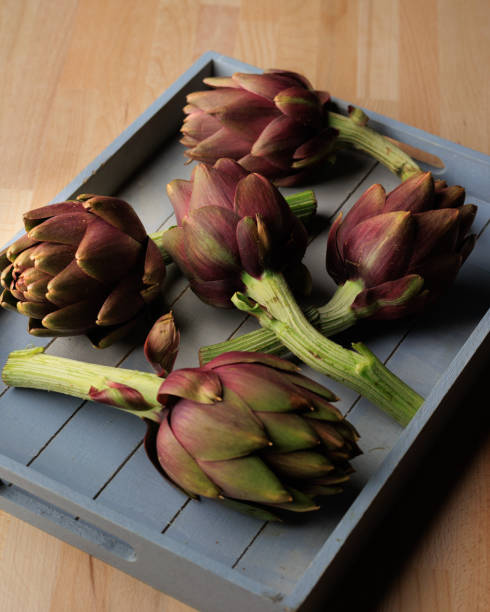 Artichokes in studio lighting
