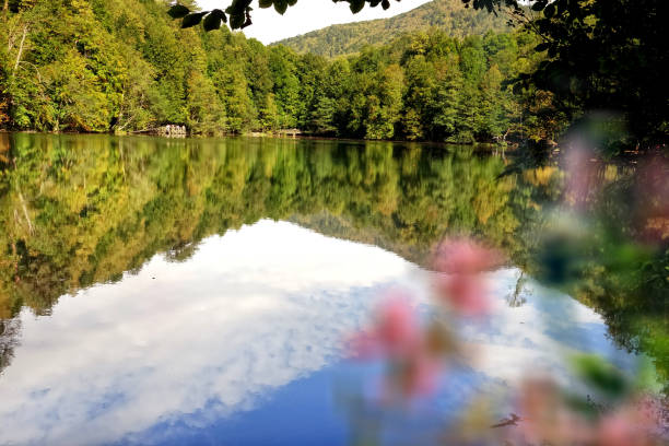Landscape from Abant National Park,Turkey