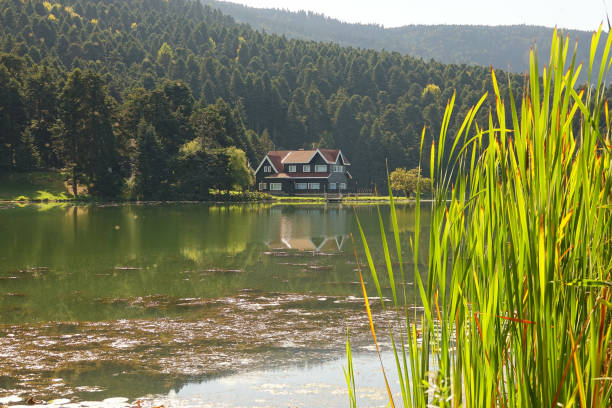Landscape and government building from Abant National Park,Turkey.Turkish Ministry of Agriculture and Forestry building by lakeside.