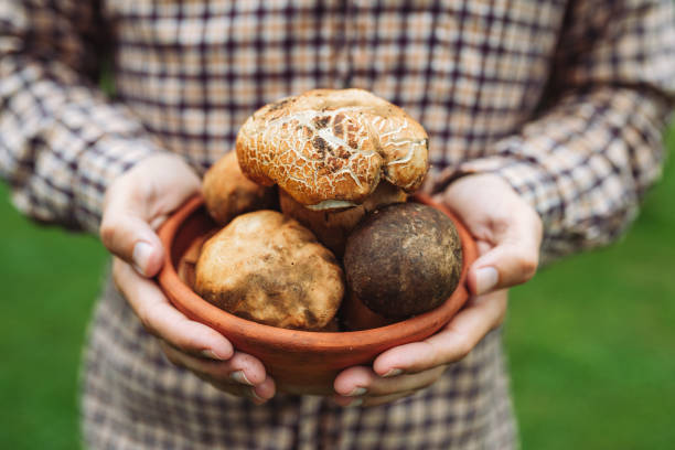 istock Unrecognizable man holding mushrooms in his hands 2156708093