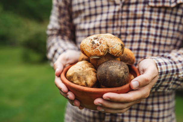 istock Unrecognizable man holding mushrooms in his hands 2156708099