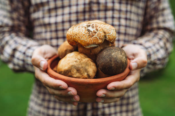 istock Unrecognizable man holding mushrooms in his hands 2156708106