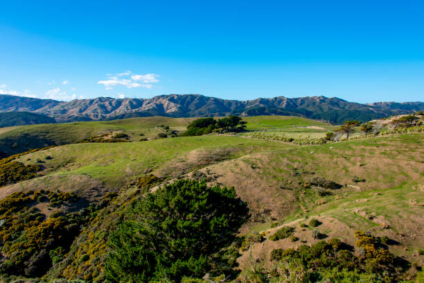 istock Pastures in Wellington Region 2156713295