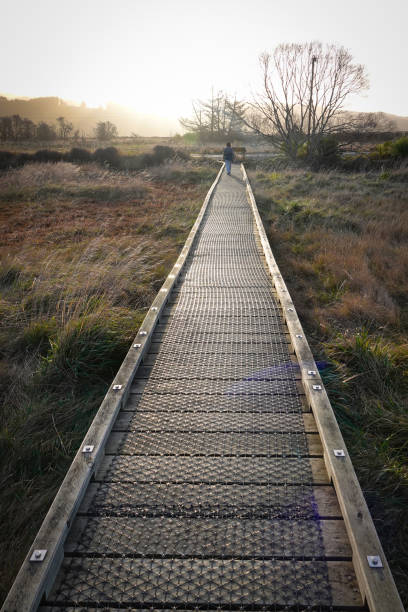 Evening sun on a coastal wetland walkway with converging perspective