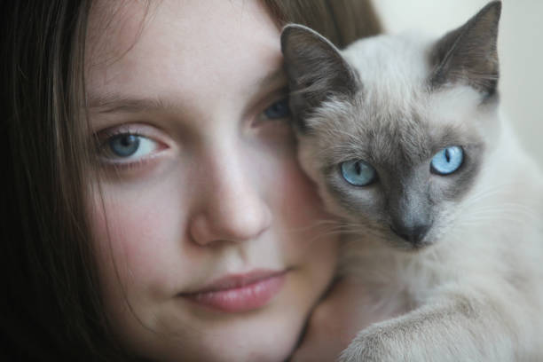 close up portrait of a teenage girl with siamese cat