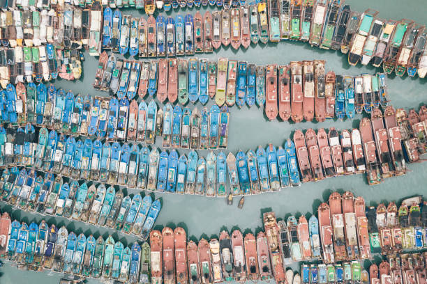 Aerial view of fish ships at port