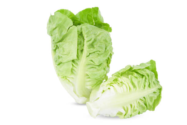 istock fresh baby cos lettuce isolated on white background 2156721228