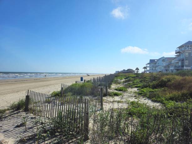 istock Galveston Texas Sandy Beach With Picket Fences 2156722362