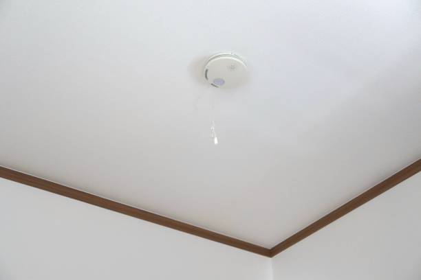istock Residential fire alarm. 2156727101