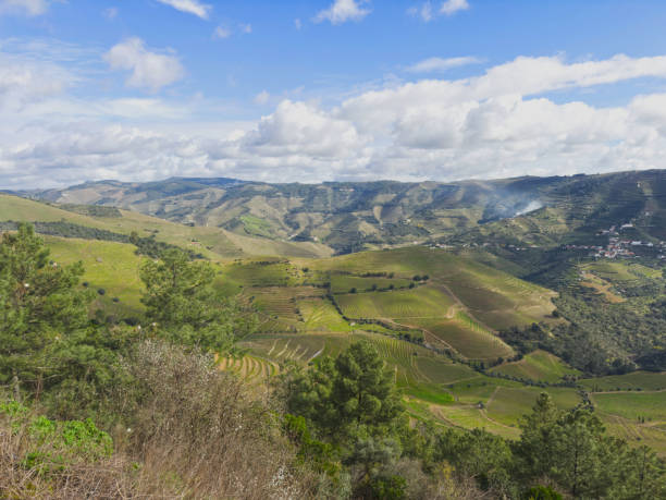 istock Douro Valley, Portugal 2156736202