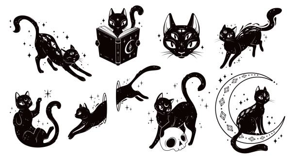 Magical mystic black cats, animal silhouettes Magical mystic black cats. Vector set of whimsical feline animal silhouettes in playful poses. Kitten jump in hole, surrounded by stars, reading a book, perched on a crescent moon, standing on a skull cat witch stock illustrations