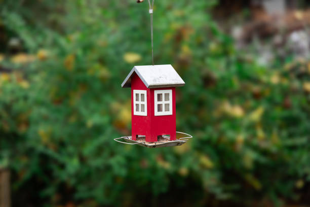 decorative house hanging single object in garden autumn foliage blurred background space