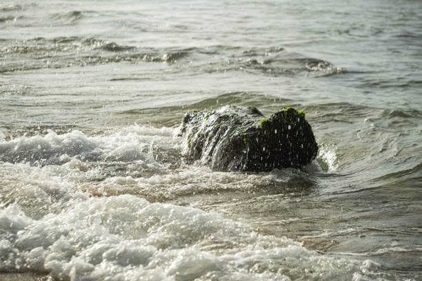 A moss-covered rock in the ocean with waves crashing against it.