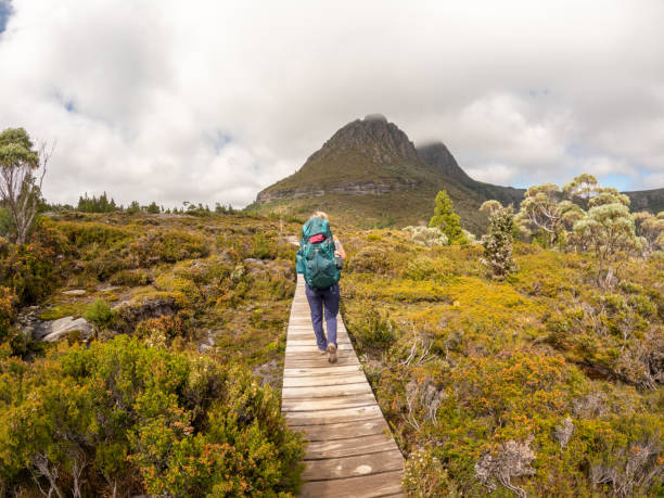 istock Solo Hiker on Wooden Path in Mountainous Terrain 2156741080
