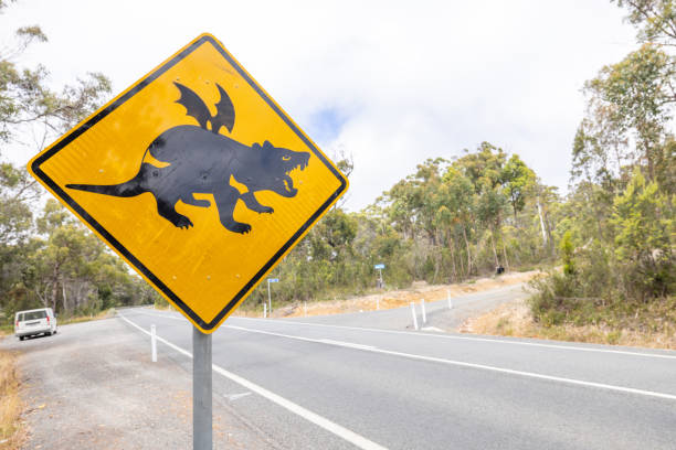 Close-up of a whimsical road sign depicting a dragon crossing, situated on a rural road with a background of trees and a clear sky.