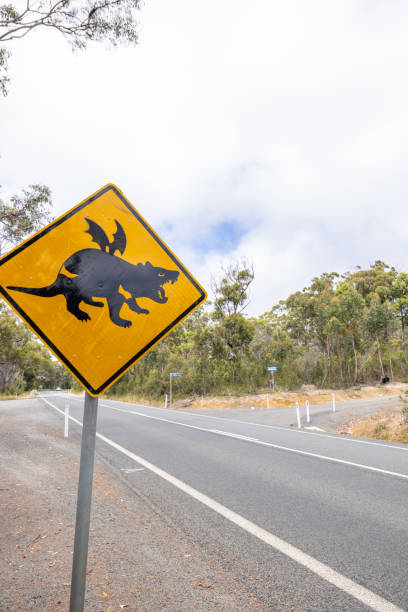 istock Humorous Tasmanian devil Crossing Sign on Rural Road 2156741428