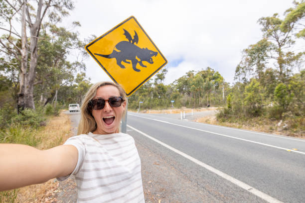 Koala crossing roadside sign warning of koalas being in the area with 2 km in Australia