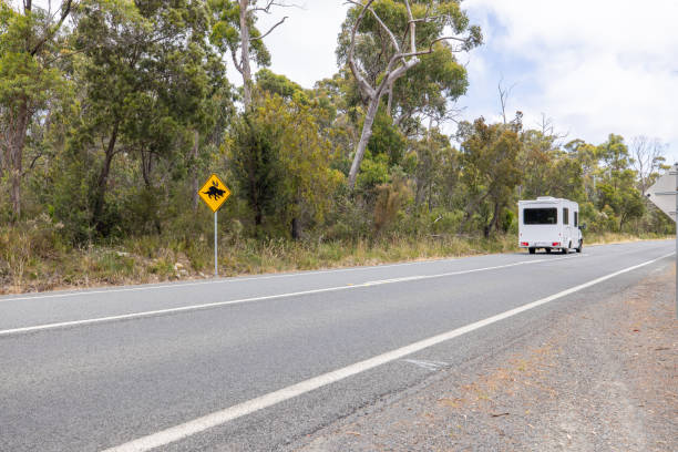 istock Camper Van Driving on Rural Road with Koala Crossing Sign 2156741494