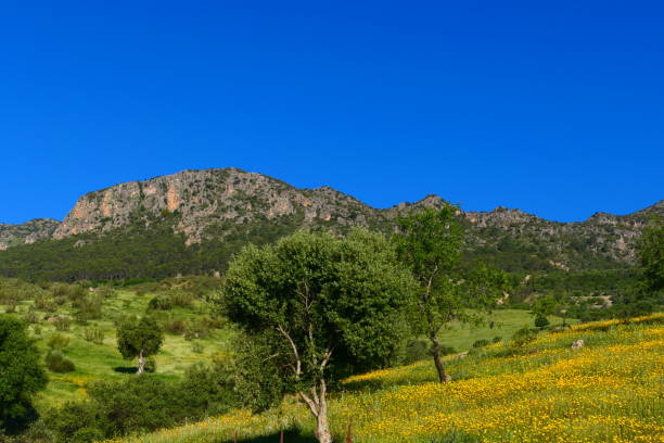 istock Mountains in spring in the Sierra de Grazalema, Andalusia 2156741902