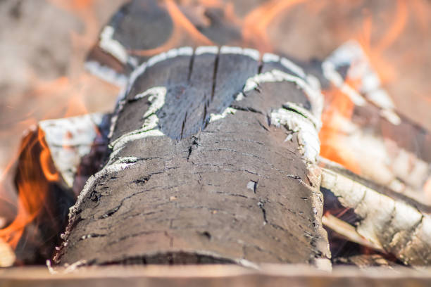 Closeup image showing a log burning in a fire with flames emerging. The scene captures the intensity and beauty of the firewood burning brightly