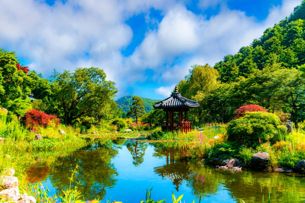 Beautiful garden with water reflection in very calm day