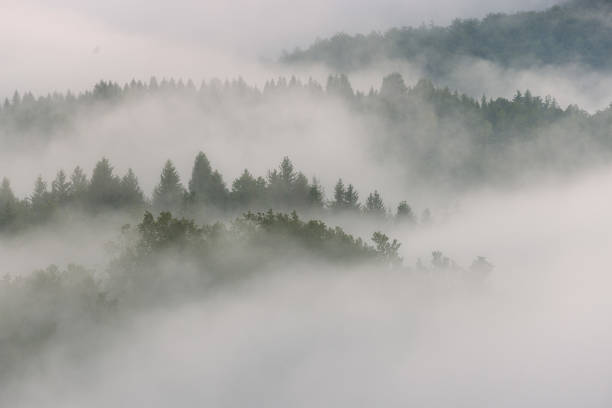 istock Dawn with morning mist in a mountain valley, Croatia 2156747670