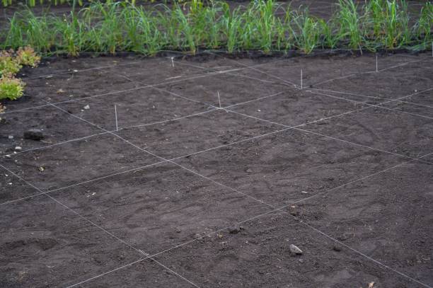 istock Landscaping. A lined plot of land for planting ornamental plants. 2156748201