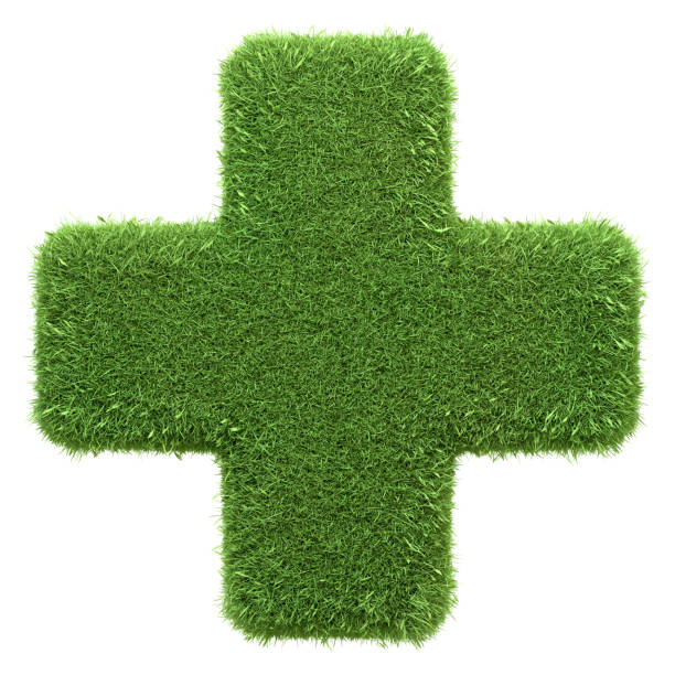 istock A plus sign crafted from green grass, symbolizing positive growth and natural addition, isolated on a white background 2156750459