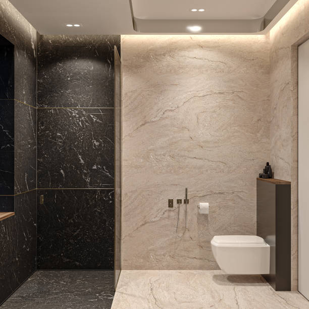 istock Simplistic and Sophisticated A Guide to Modern Bathroom Design 2156753610