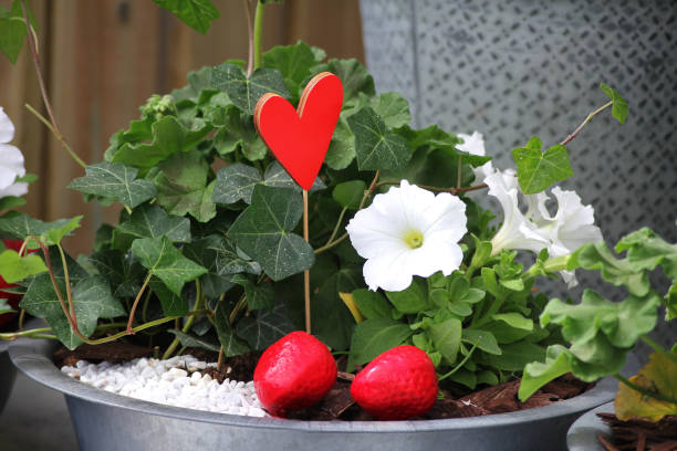 istock A flower arrangement with plastic wild strawberries and a red heart 2156754630