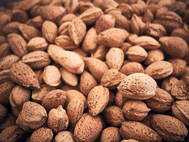 Almonds in a shell