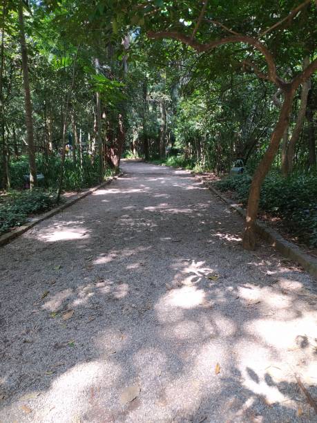 istock Empty cobblestone path on a public park in Sao Paulo 2156759232