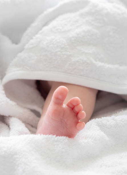 istock New life's touch: infant foot glimpsed under a white towel 2156764441