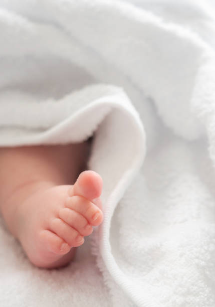 istock New beginnings: infant foot delicately wrapped in white 2156764814