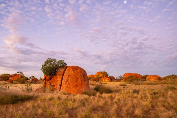 istock Devil's Marbles/Karlu Karlu during blue hour, Northern Territory, Australia 2156765368