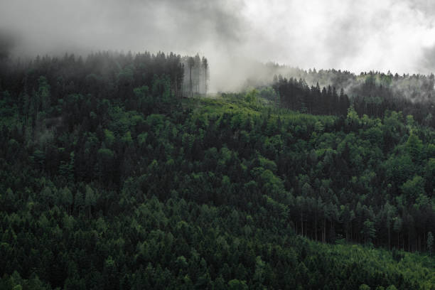 Towering Alpine peaks rise majestically, with lush green valleys below adding to the breathtaking scenery. The rugged mountains create a perfect blend of natural beauty and serenity, inviting exploration and admiration.