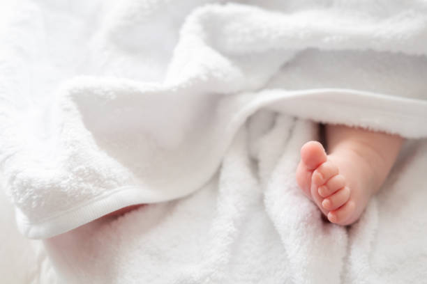 istock Innocence unveiled: newborn's foot peeking through white softness 2156768836