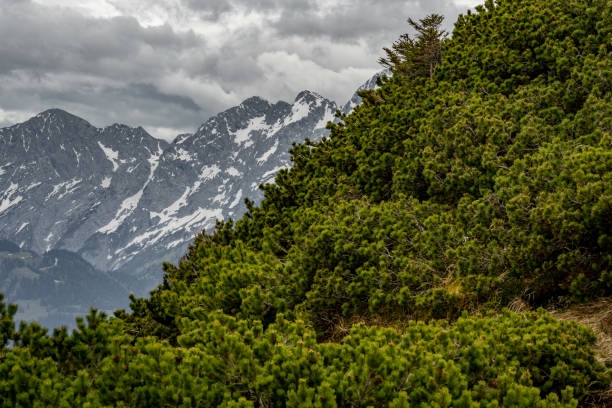 A majestic Alpine mountain dominates the landscape, with rugged slopes and pristine peaks. The breathtaking scenery evokes a sense of awe and wonder, inviting exploration and appreciation of nature's grandeur.