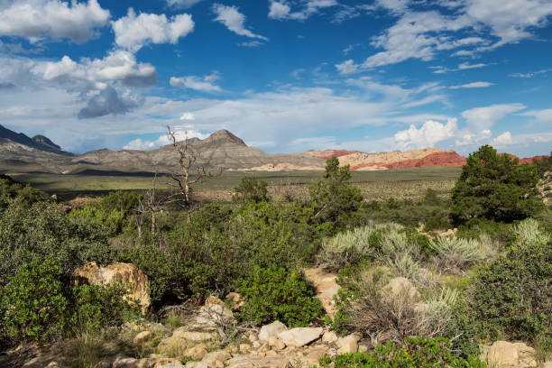 istock Red rock Canyon Conservation area las Vegas Nevada 2156771728
