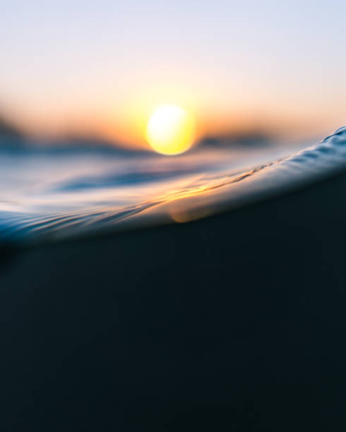 istock Macro shot of orange sunset half underwater 2156772556