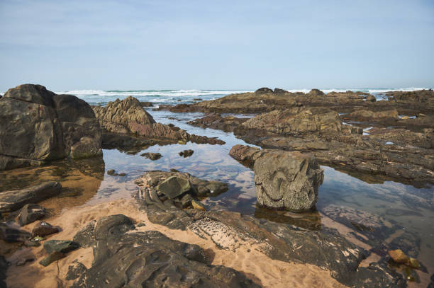 Beautiful rocky beach with numerous tide pools reflecting the sky, waves crashing in the background, and a clear blue sky. Ideal for nature, marine life, and coastal landscape themes.